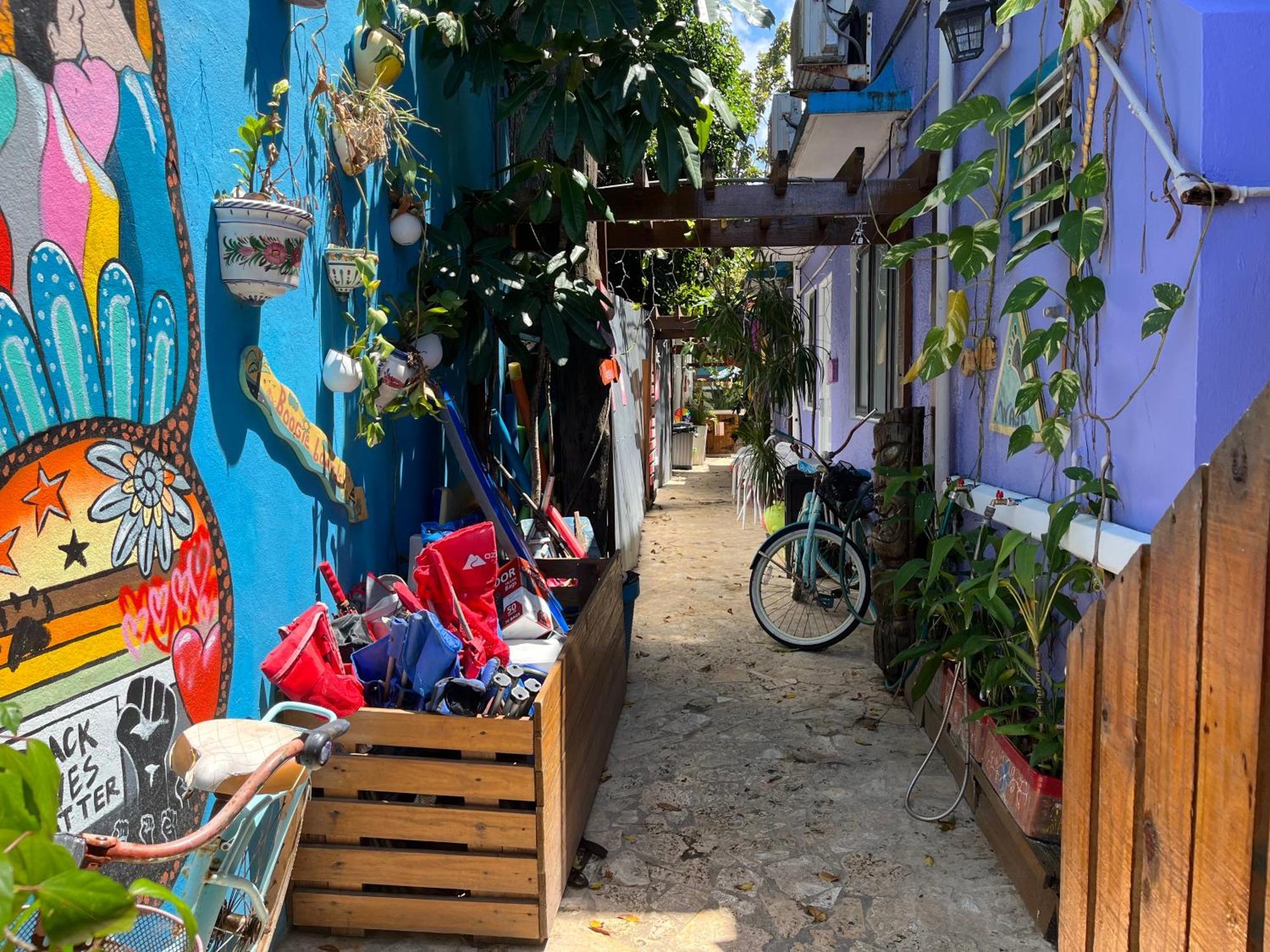 Lower Price, More Style, Discount Studio In San Juan,Pr, Beach, Free Bikes (Adults Only) Сан-Хуан Экстерьер фото