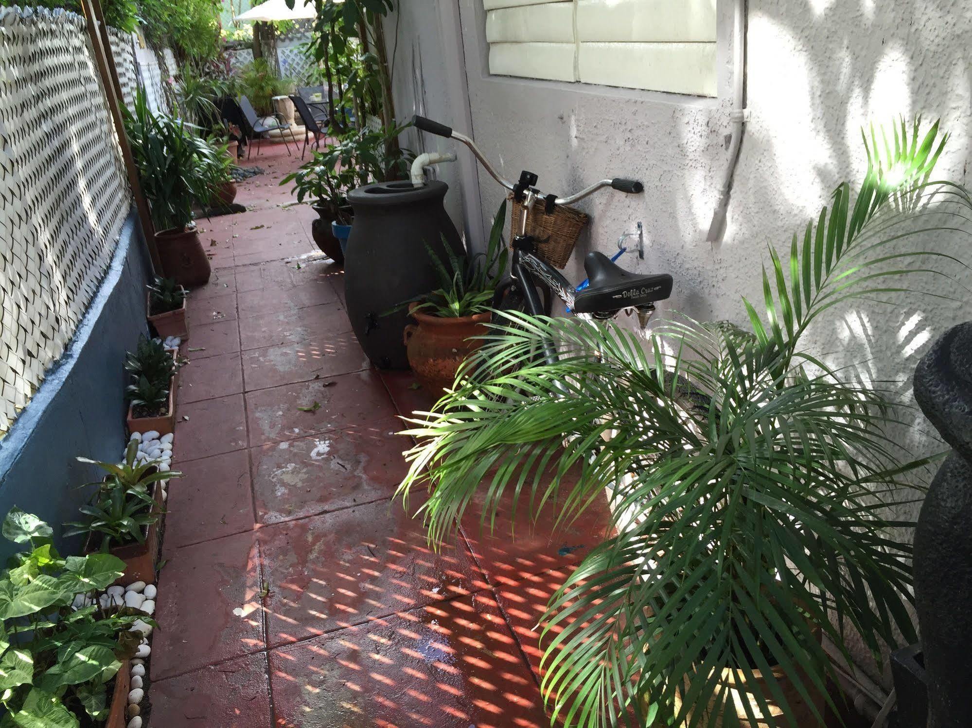 Lower Price, More Style, Discount Studio In San Juan,Pr, Beach, Free Bikes (Adults Only) Сан-Хуан Экстерьер фото